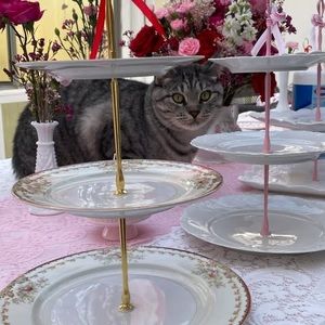 Meet your Posher, Sharon